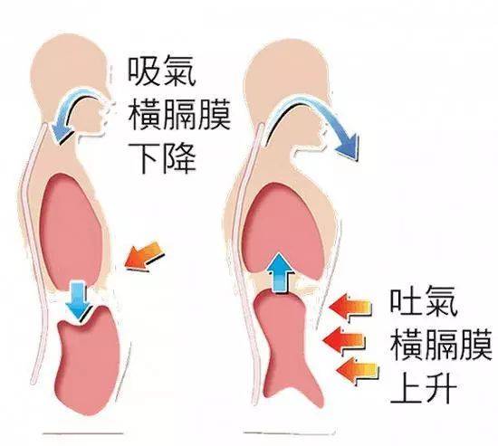 呼吸；呼吸??；肺氣腫；肺??；鍛煉