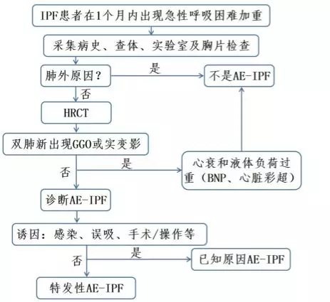 鐘南山-肺-肺康復-特發(fā)性肺纖維化-肺炎-間質性肺炎-間質性肺纖維化-IPF-AE-IPF-HRCT-GGO