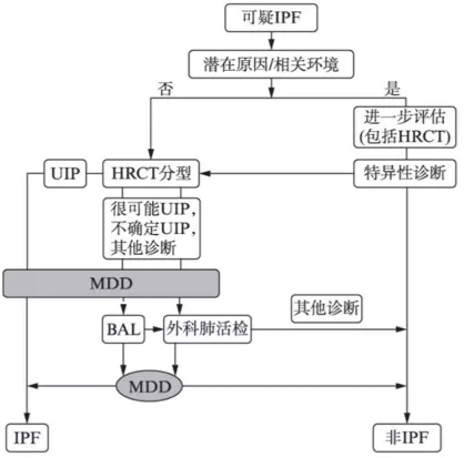 鐘南山-肺-肺康復-特發(fā)性肺纖維化-肺炎-間質性肺炎-間質性肺纖維化-IPF-AE-IPF-HRCT-GGO